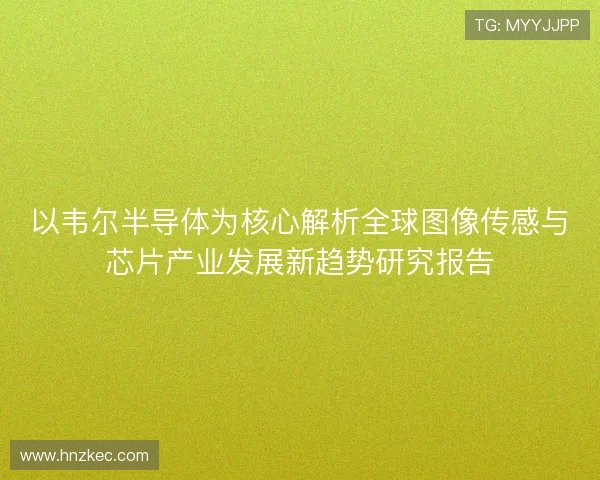 以韦尔半导体为核心解析全球图像传感与芯片产业发展新趋势研究报告